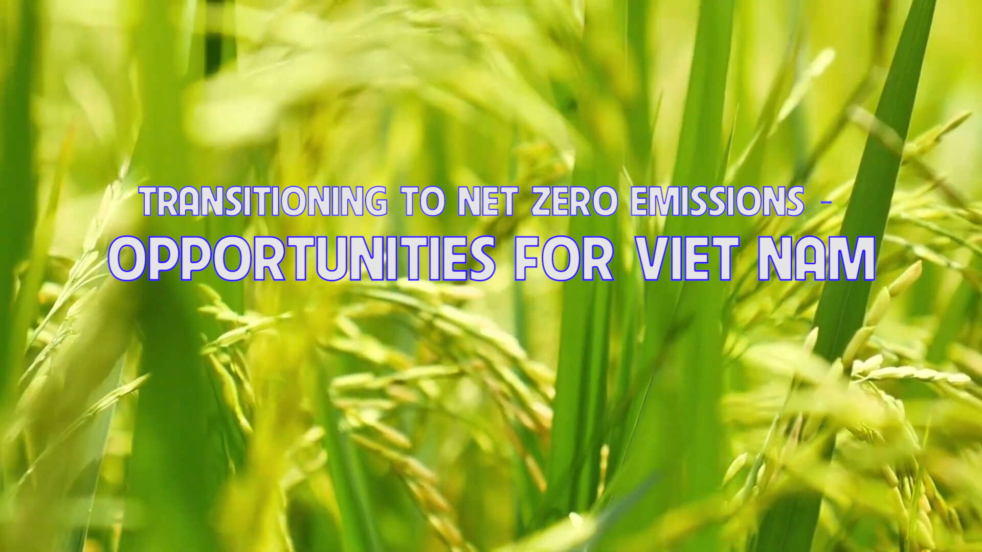 Transitioning to Net Zero emissions – Opportunities for Vietnam